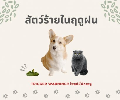 สัตว์ตัวร้าย ที่มาพร้อมกับสายฝน